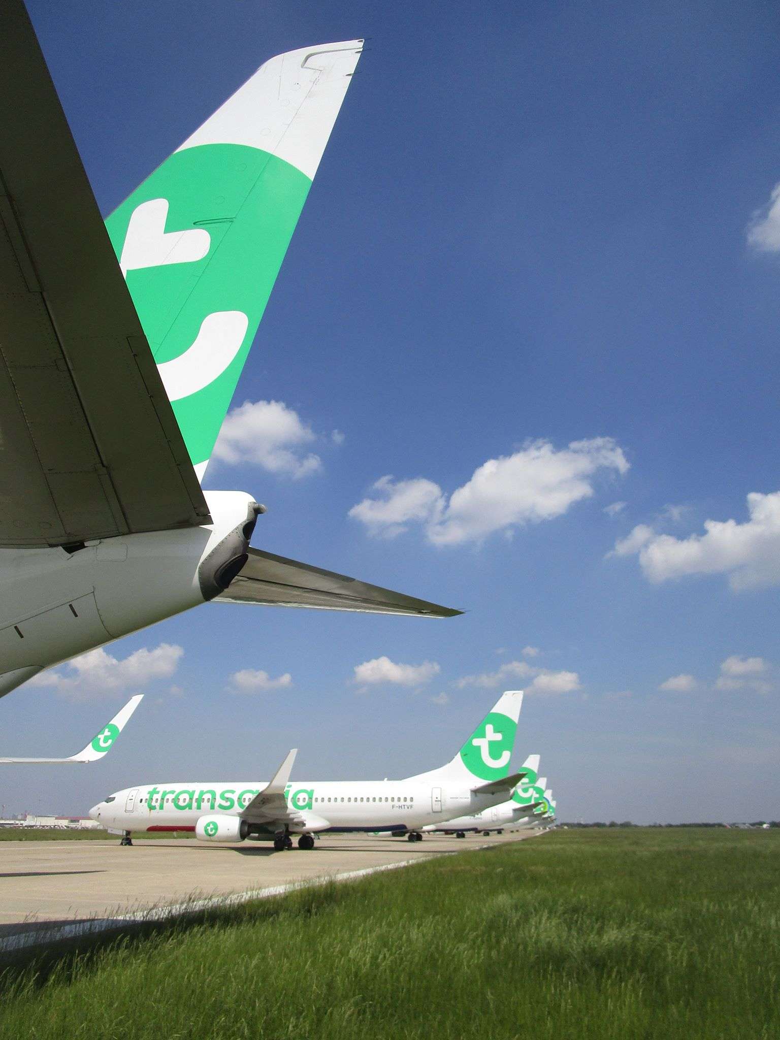 Transavia Corporate Flotte